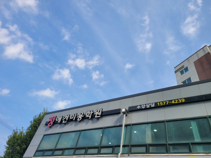 포항애견미용학원 이미지