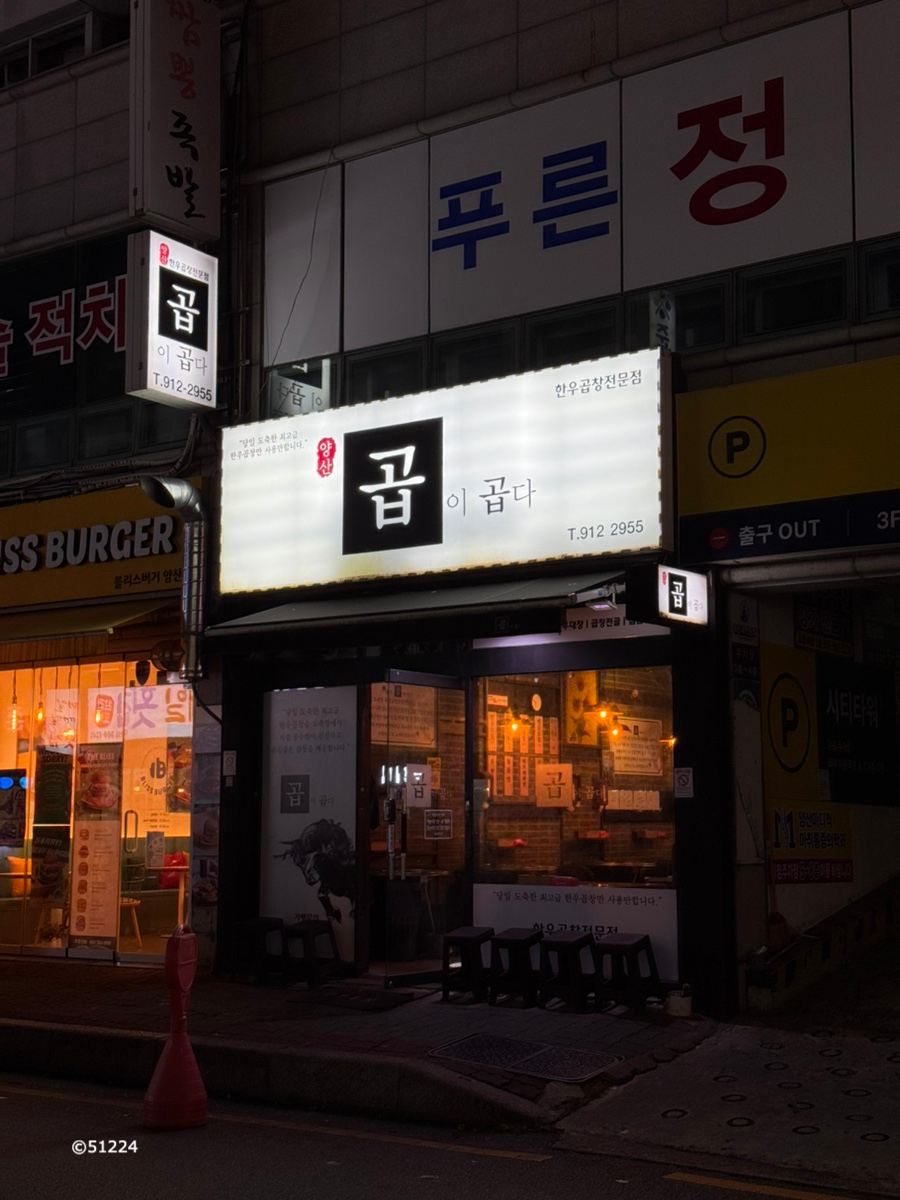 곱이곱다 이미지