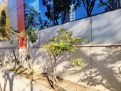 동진조경 이미지