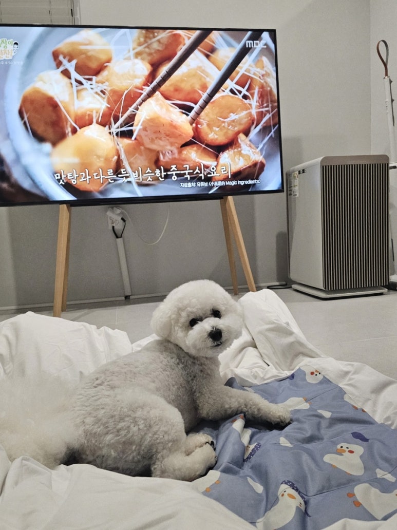 컴페니언바이주문진 이미지