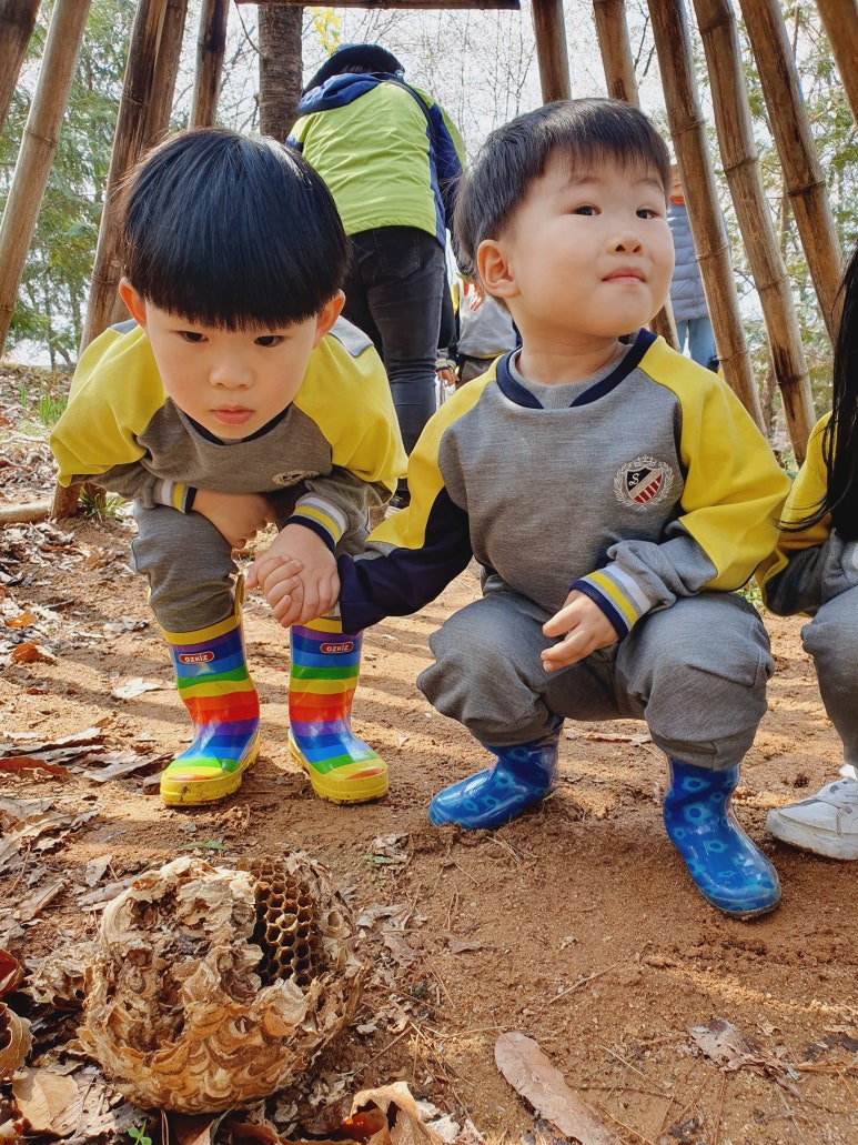 부여 유아숲체험원 이미지