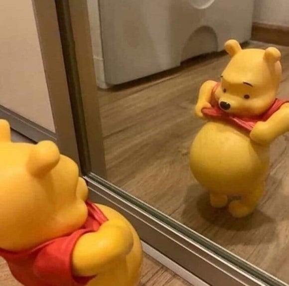 숲속의다이어트캠프 이미지