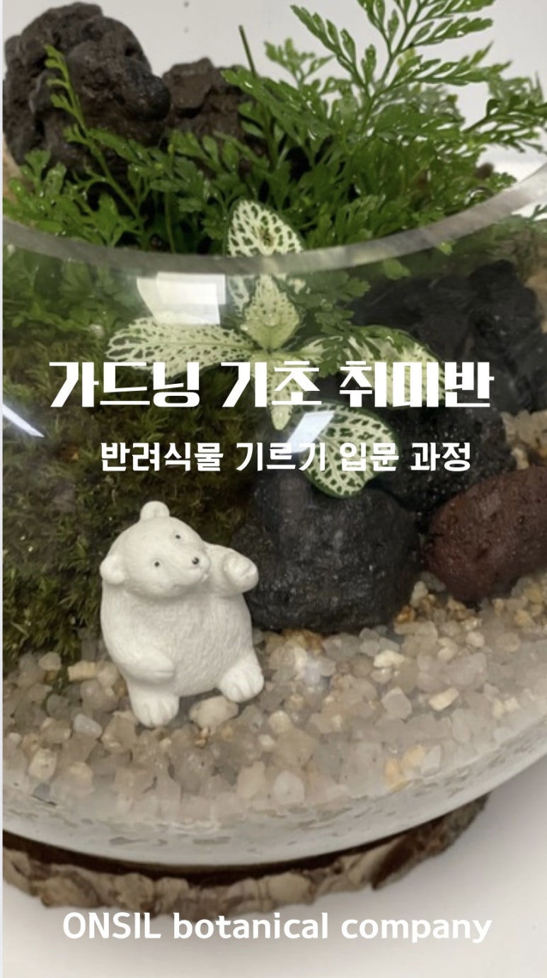 태라컴퍼니 이미지