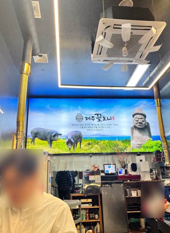 제주꽃도니 이미지