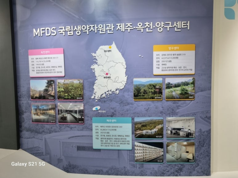 강원생약 이미지