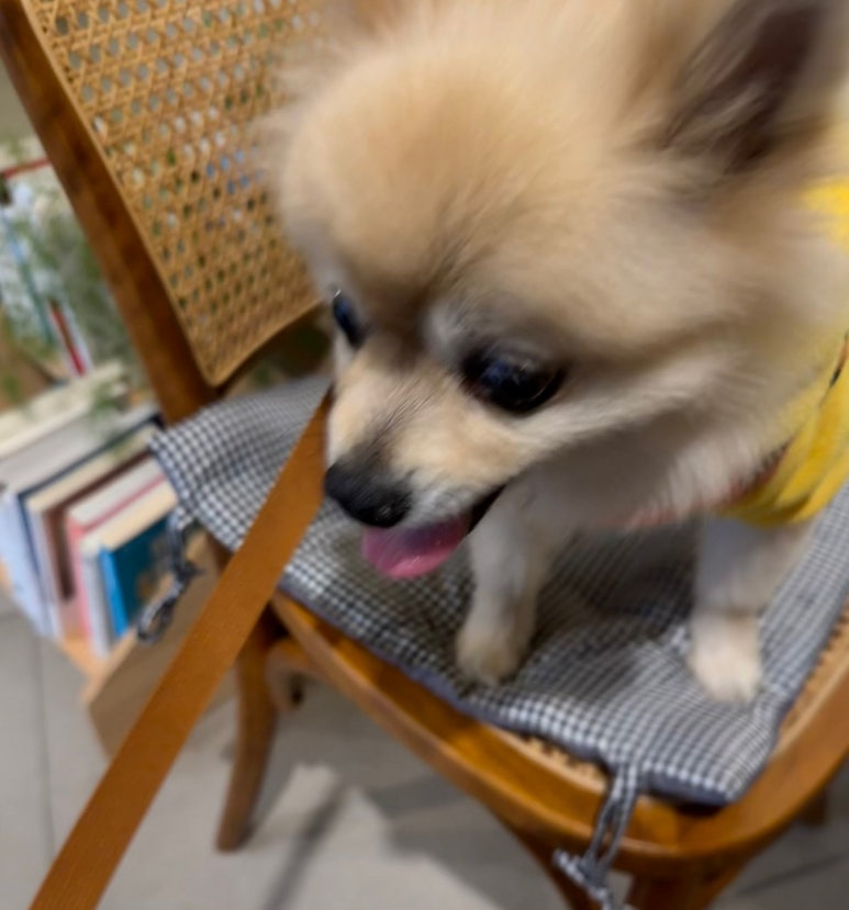 온어스(ONUS) 이미지