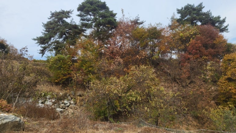 진영꽃농원 이미지