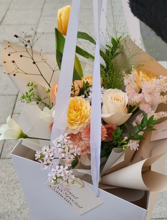 플레로드 이미지