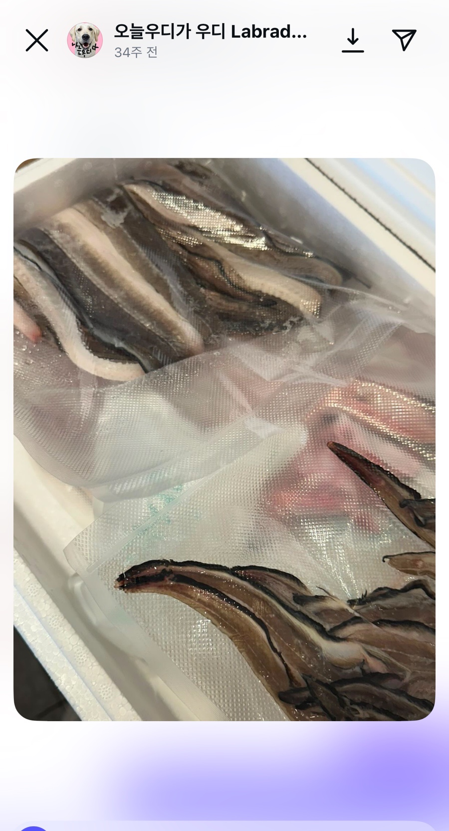 수빈횟집 이미지