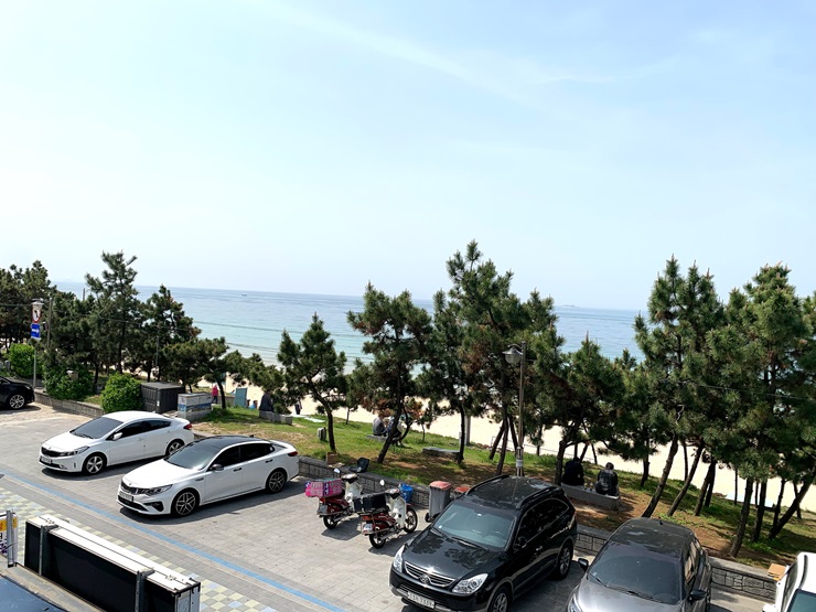 대천회센타 이미지