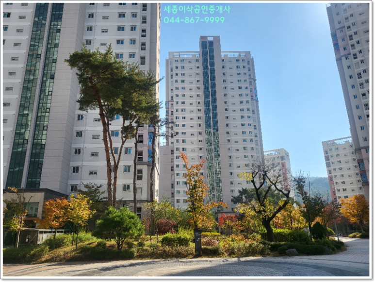 아이보람세종센터 이미지