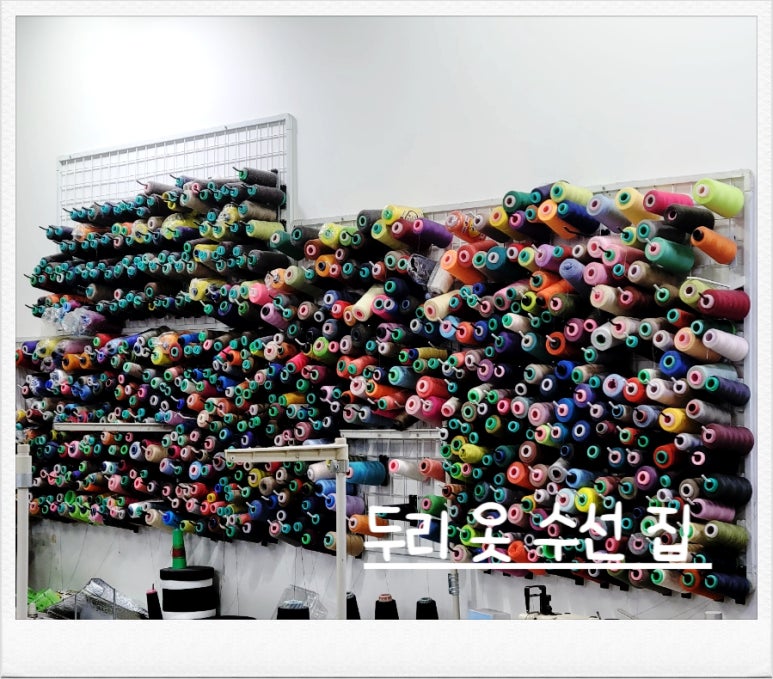 두리수선 이미지
