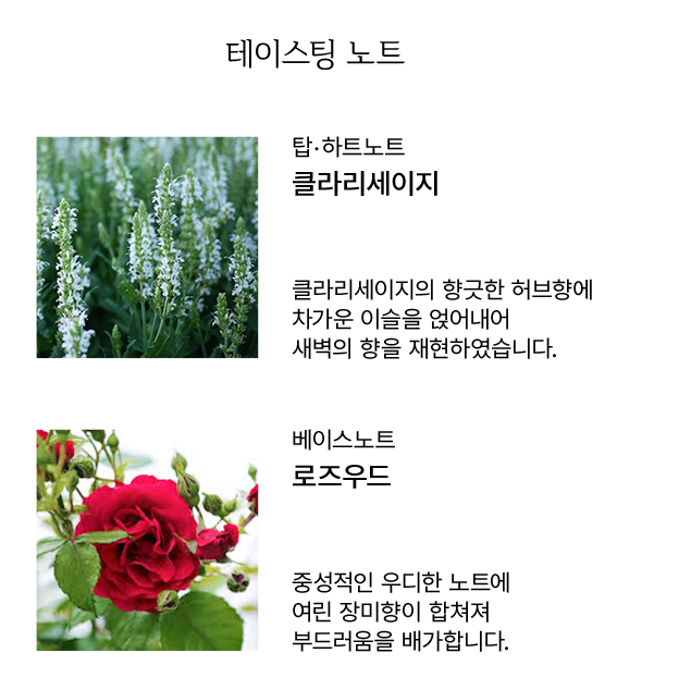 아로브 이미지
