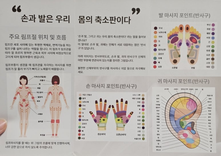 올라솔 이미지