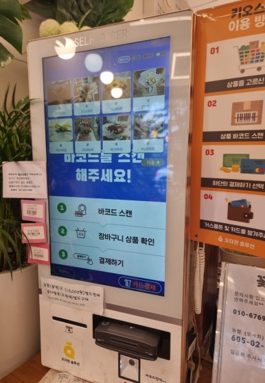 24시꽃 이미지