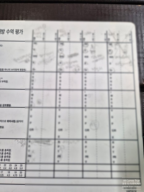 대도상회 이미지