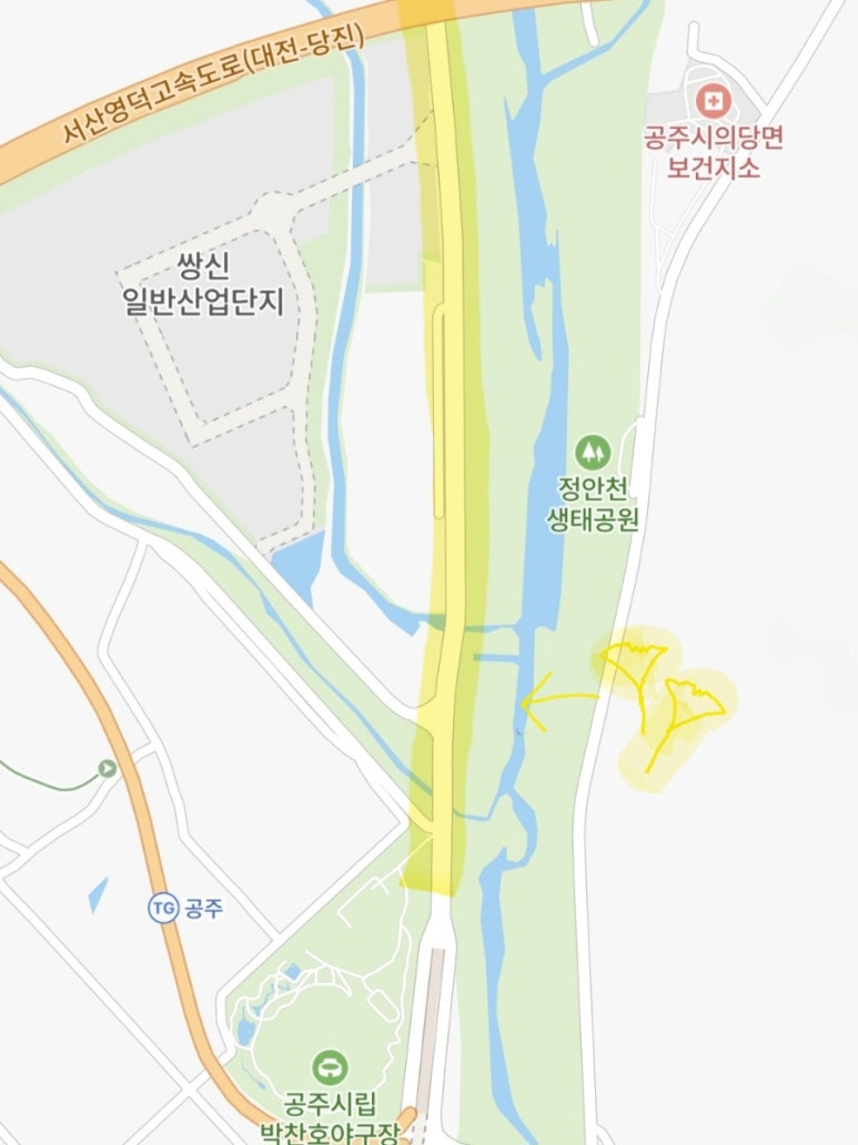 신공주밤생산영농조합 이미지
