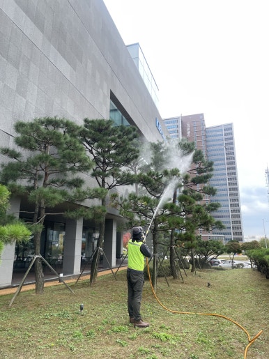 소나무병원 이미지