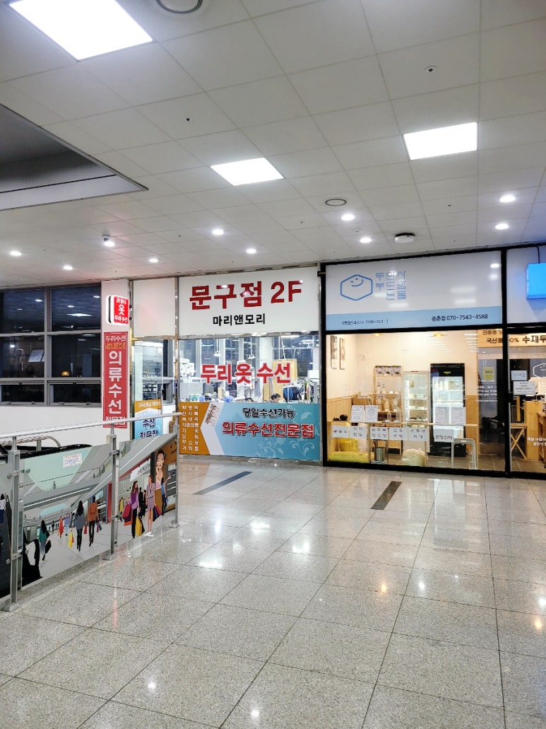 두리수선 이미지