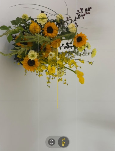 마노아플라워 이미지