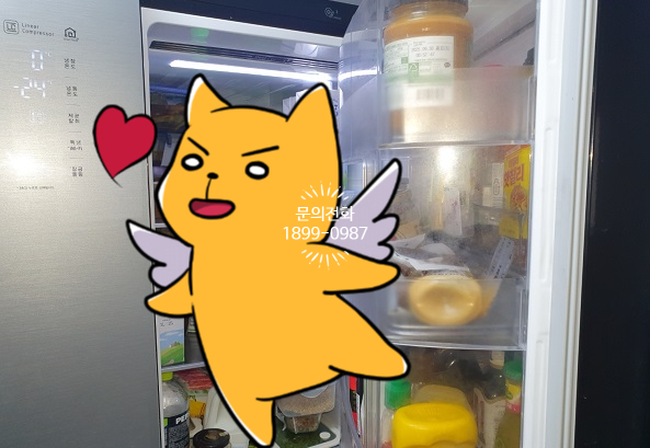 신흥전파사 이미지