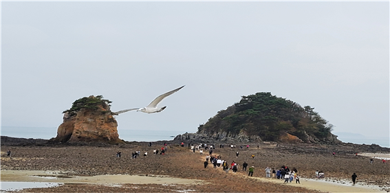 바다바라길 이미지