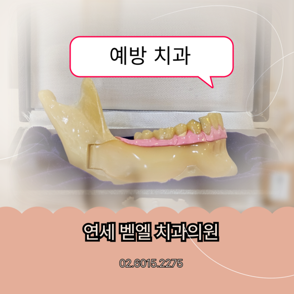 가락우리치과 이미지
