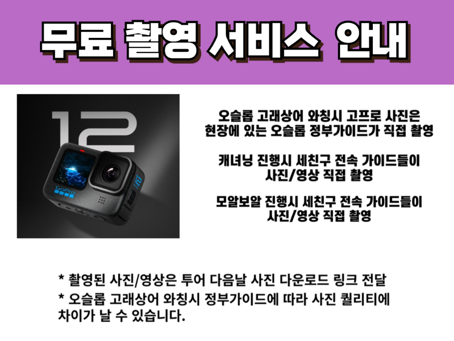 세친구투어 이미지