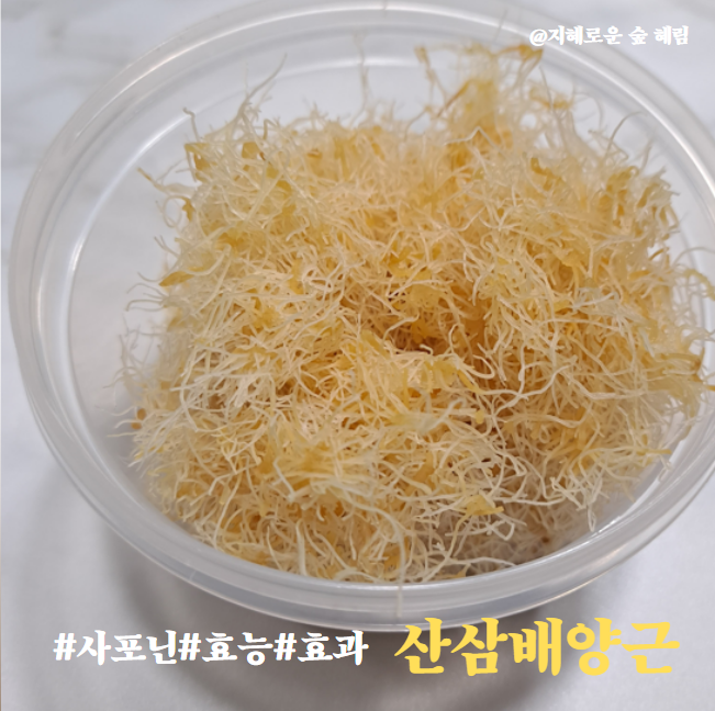 혜림식품 이미지