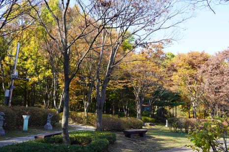 변화의월담 이미지