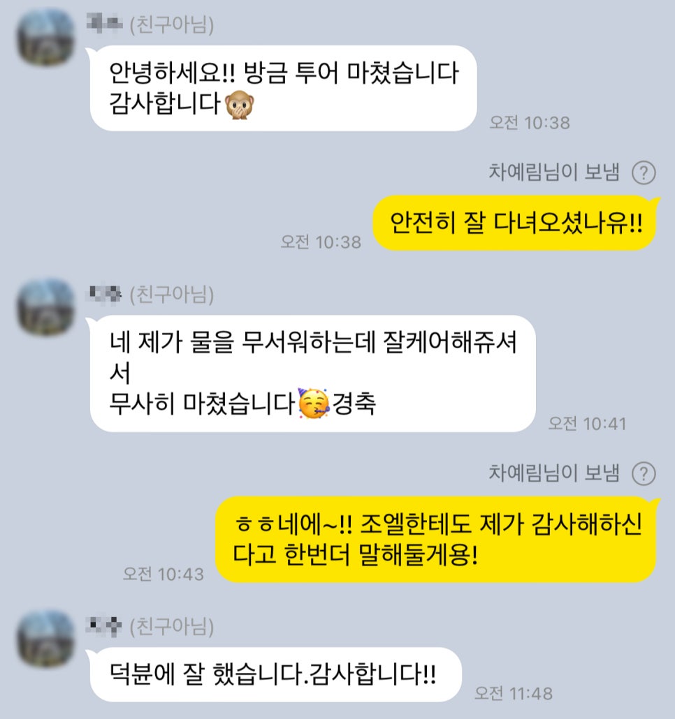 비비드엑시스 이미지