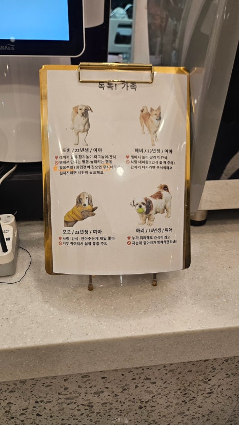 독독!개세요? 이미지