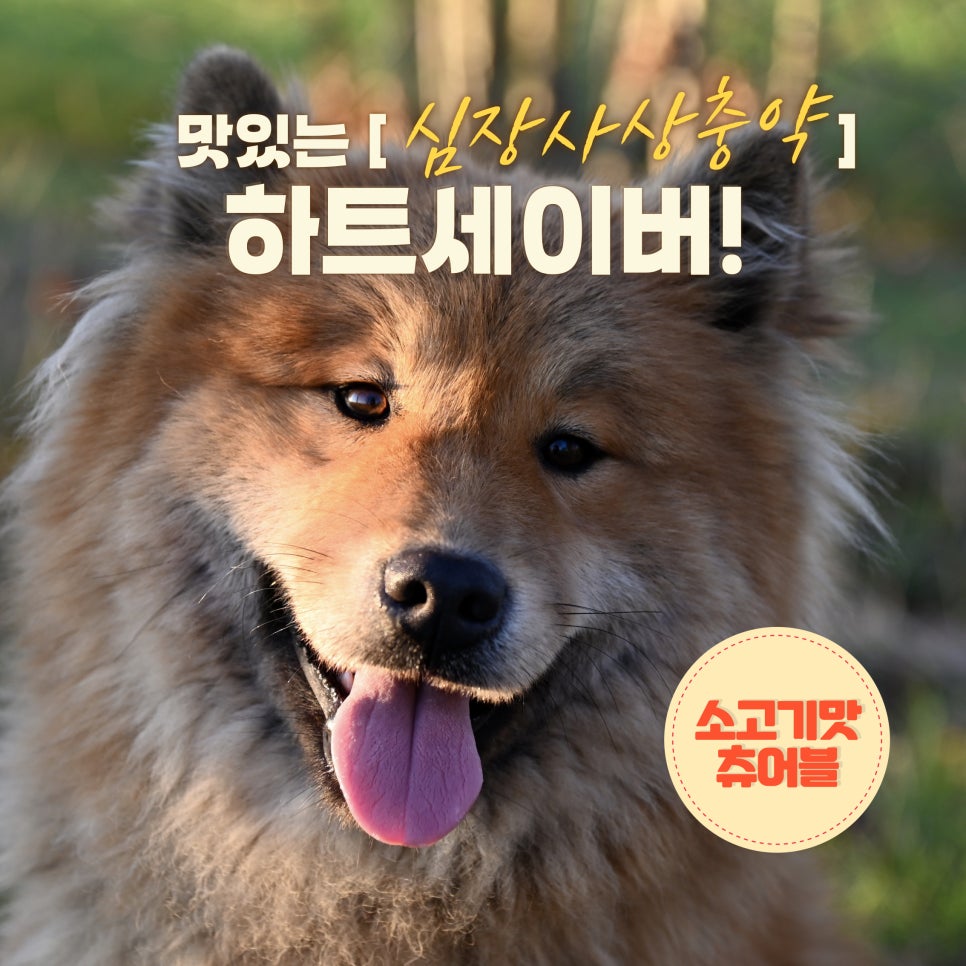 맘편한약국 이미지
