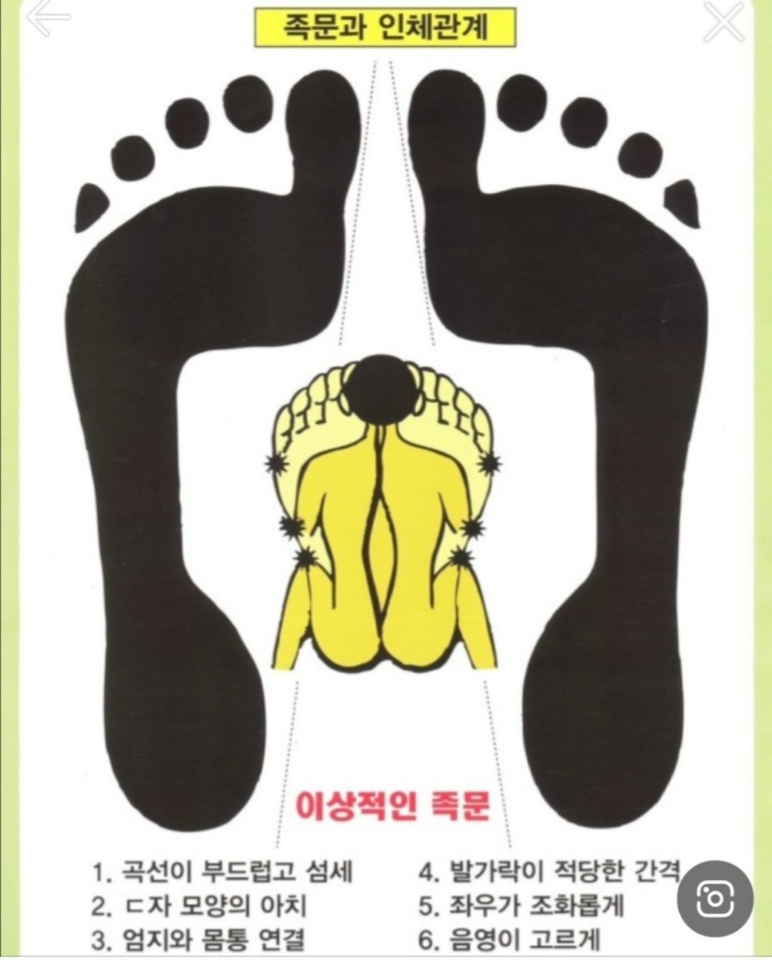 (주)피트 이미지
