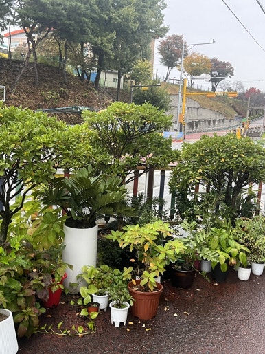 남원종합농기계 이미지