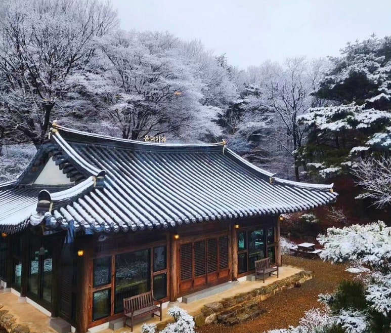 온더 이미지