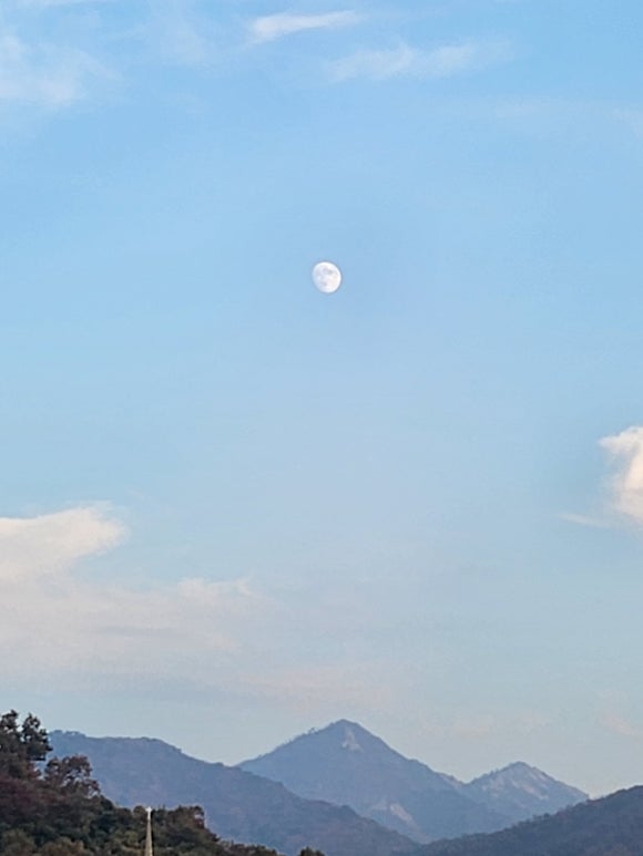 강화만사성 이미지