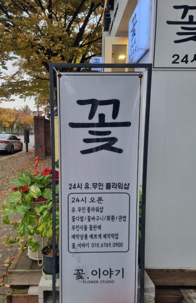 24시꽃 이미지