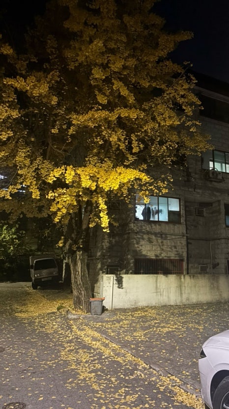한우정육소 안산대점 이미지