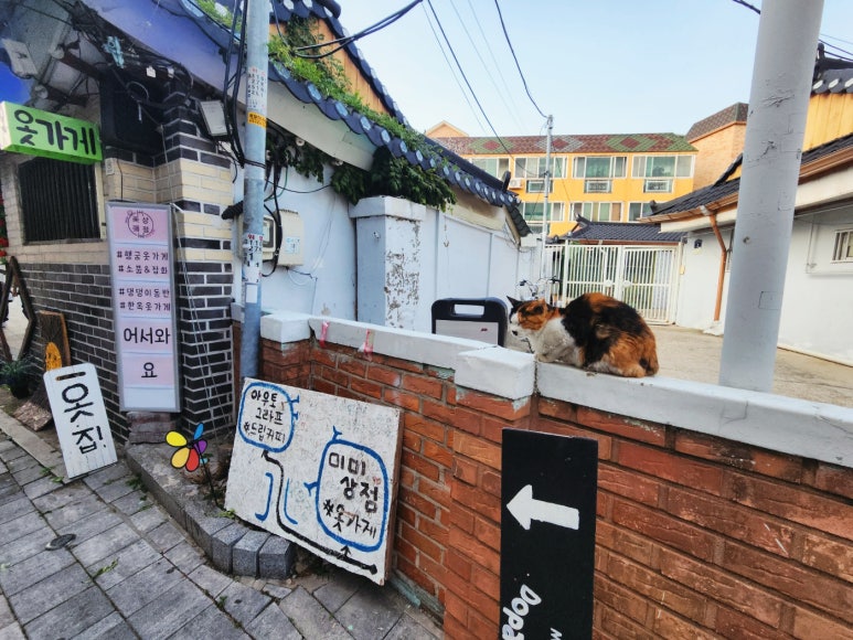 미미상점 이미지