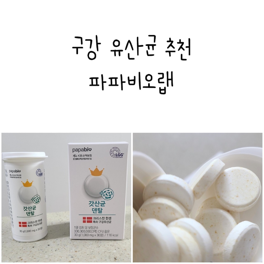 파파비오랩 이미지