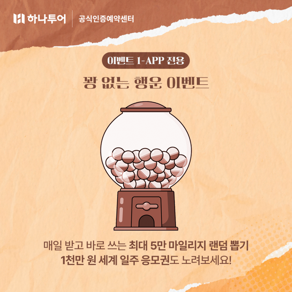 대전국제여행사 이미지