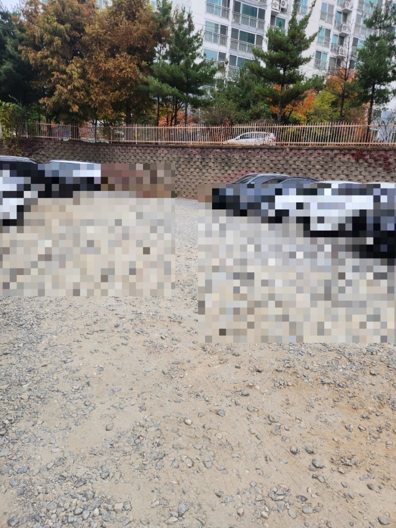 사천냥클럽 이미지