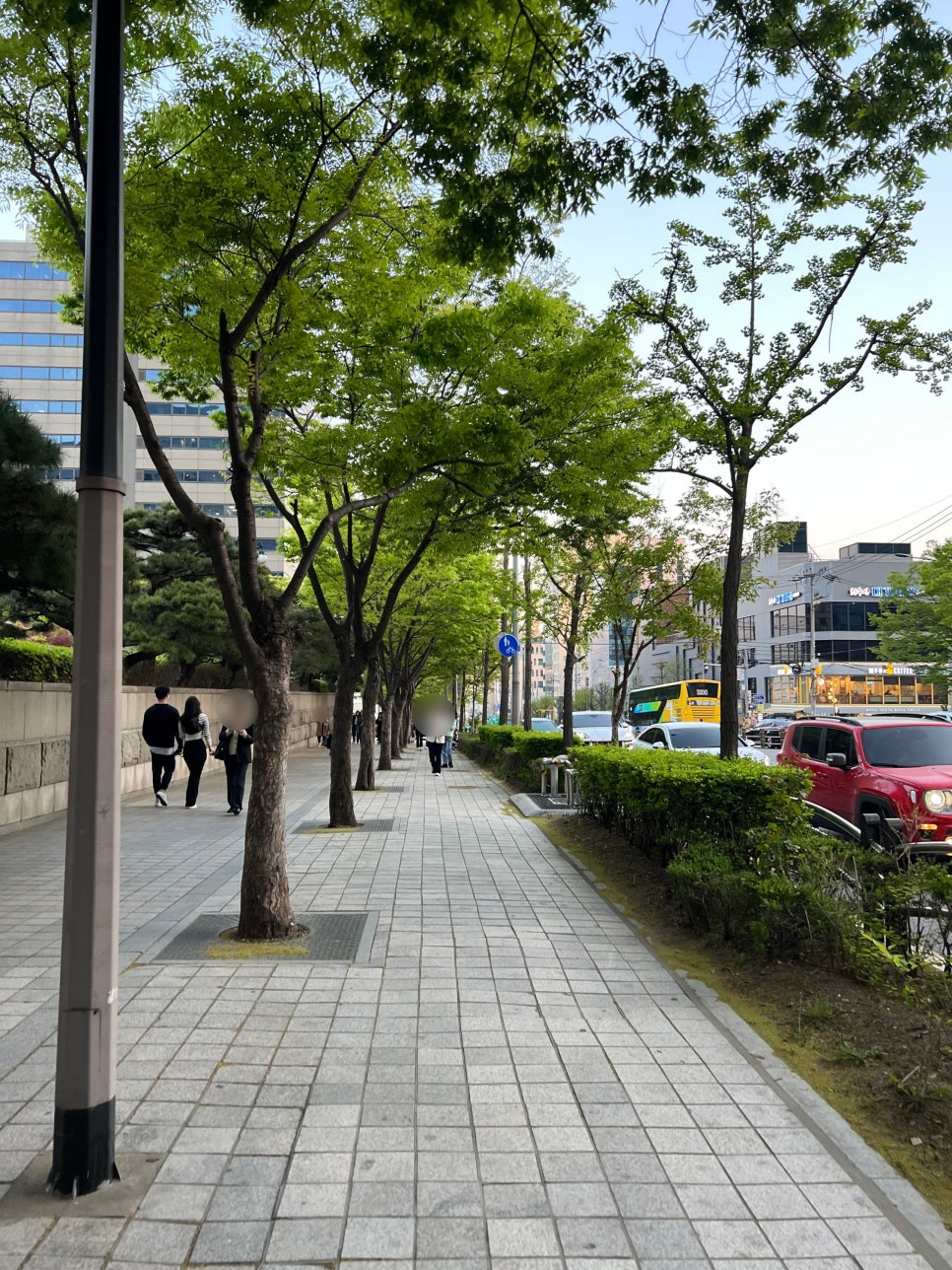 킹콩생고기 이미지