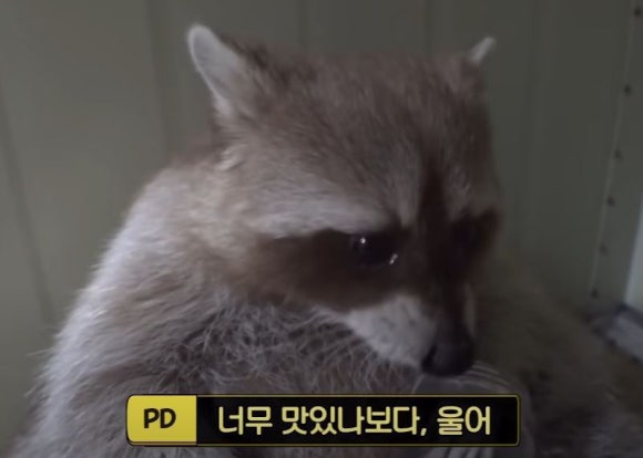 미식구락부 이미지