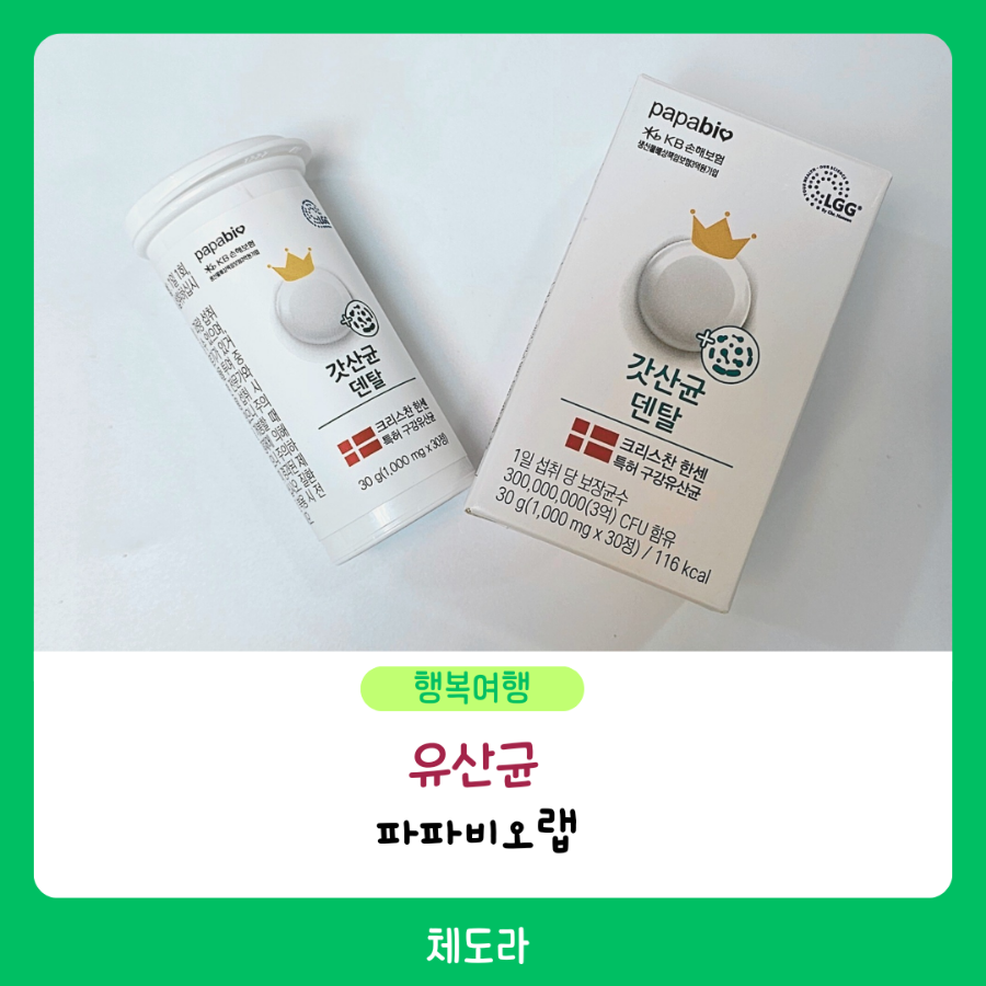 파파비오랩 이미지