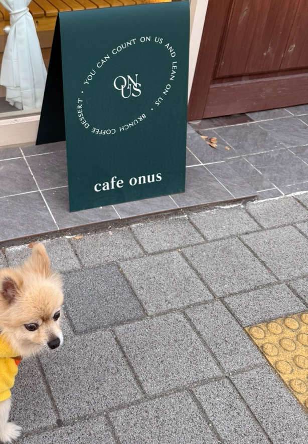온어스(ONUS) 이미지
