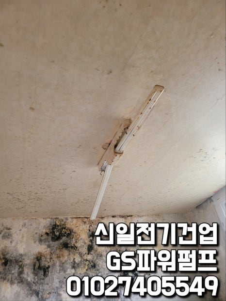 신일전업사 이미지
