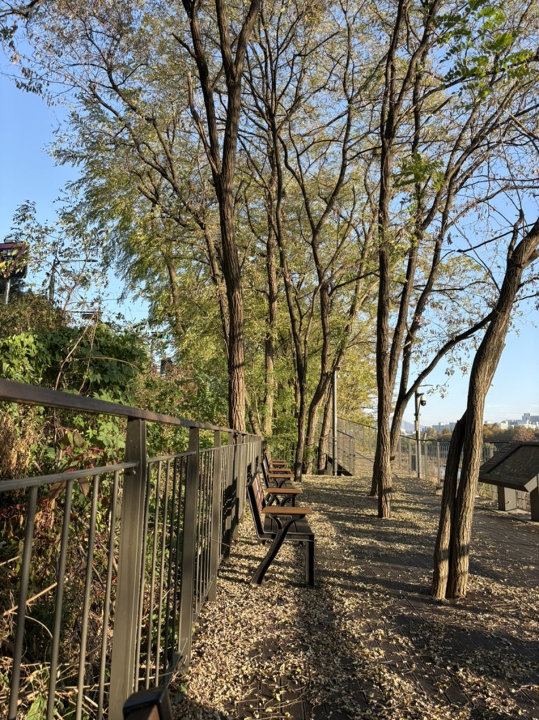 매머드익스프레스송파둘레길 이미지