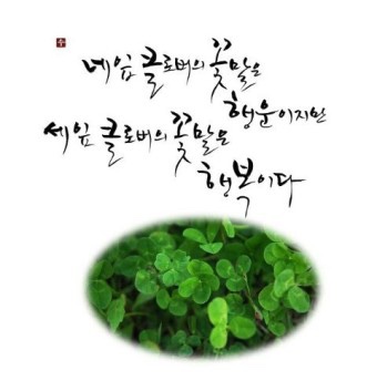 인커브 이미지